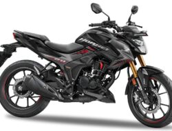 Honda Hornet 2.0 Model 2024-2025: Pembaruan Menarik dengan Harga Kompetitif