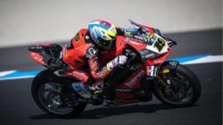 Alvaro Bautista WSBK Assen 2026