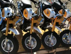 Harga Honda Z50 Monkey Melambung, Motor Mini Legendaris Jadi Buruan Kolektor