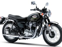 Kawasaki W800 2026: Ikon Retro Modern yang Kembali Mengaspal di Indonesia