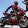 Nicolo Bulega Optimistis Hadapi Tantangan di WorldSBK Hungaria 2026