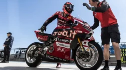 Nicolo Bulega Optimistis Hadapi Tantangan di WorldSBK Hungaria 2026