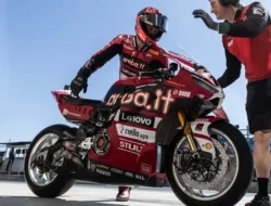 Nicolo Bulega Optimistis Hadapi Tantangan di WorldSBK Hungaria 2026