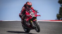 Nicolo Bulega Menangi Race 2 WorldSBK Misano 2026